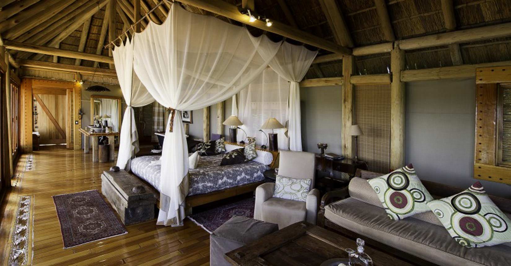 Safari Africa