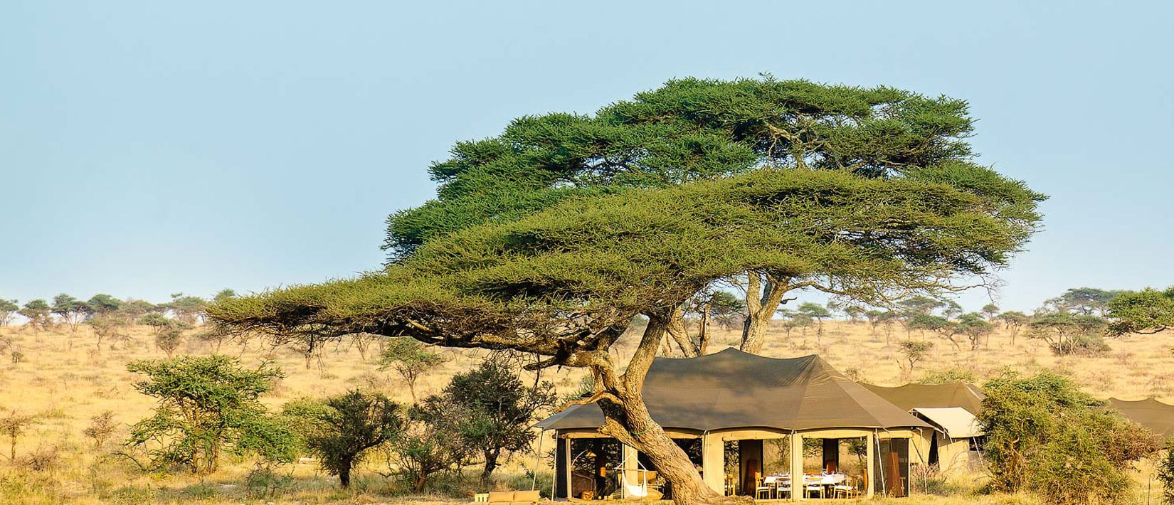 Serengeti