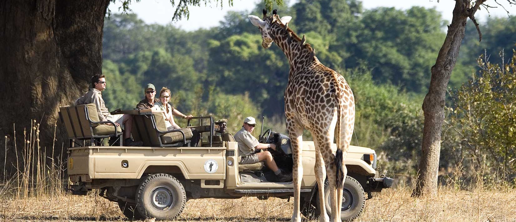 zambia