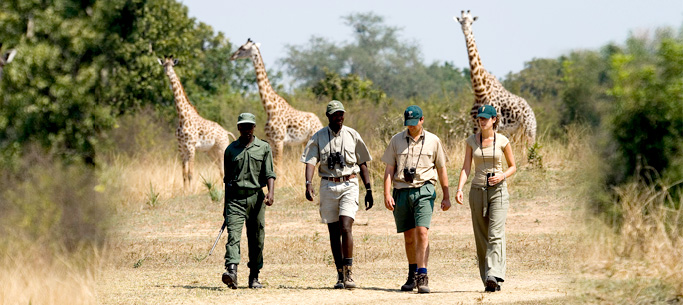 Zambia