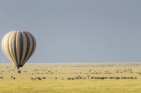 Tanzania Special